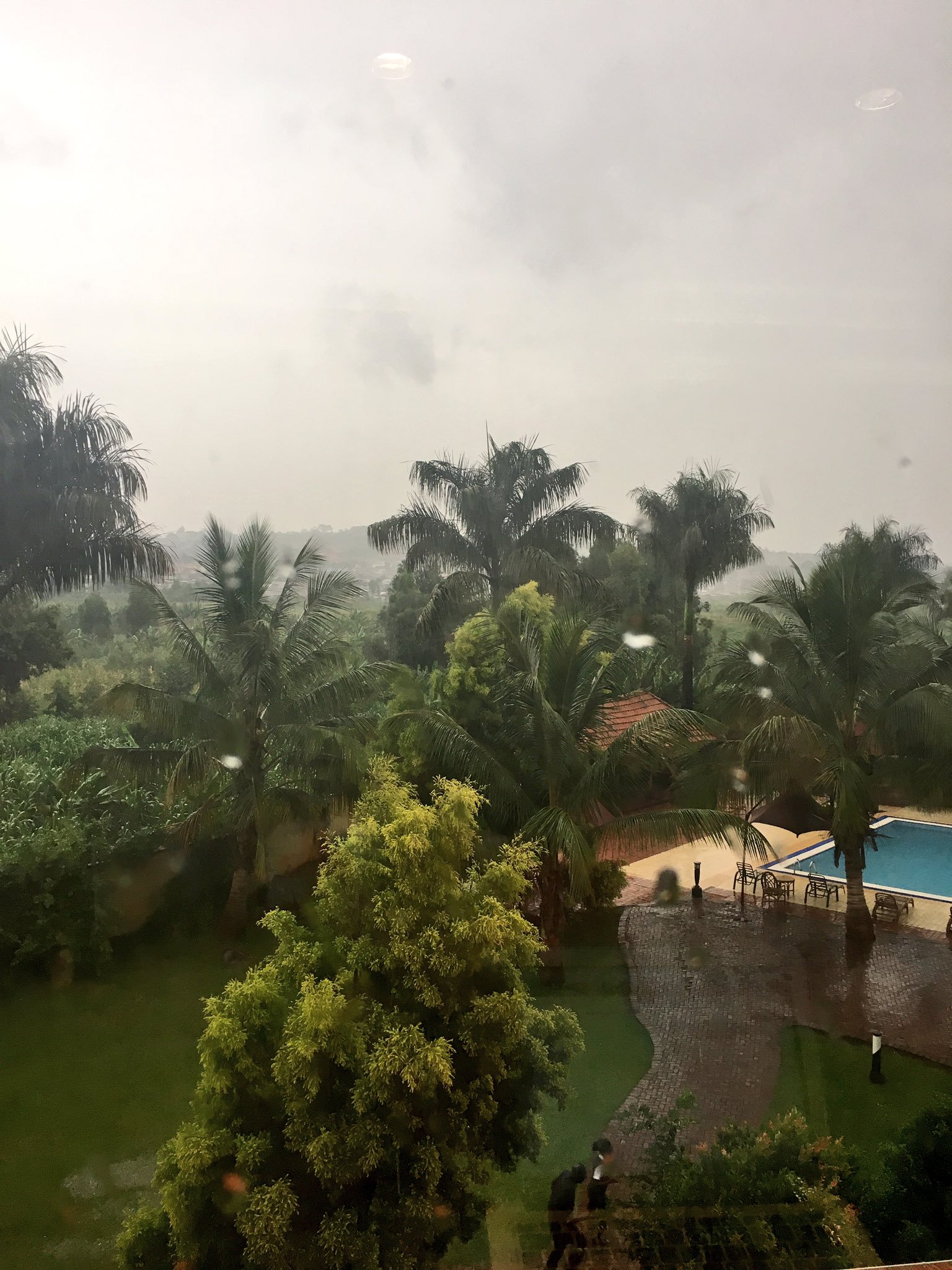 Glad we have a wetland nearby to absorb all the heavy rain that started during the #CBA11 closing plenary! 🌧#EbA for #CBA @IIED https://t.co/ZxrtPsDrfF