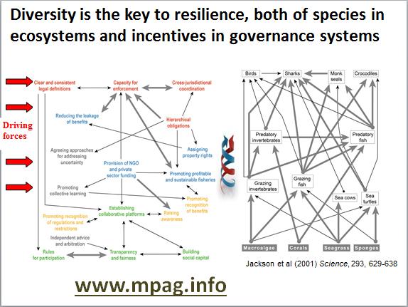.@PJSJones: Diversity is key to resilience, both of species in ecosystems + incentives in gov systems #governingMPA http://t.co/1Gv73SYw1z