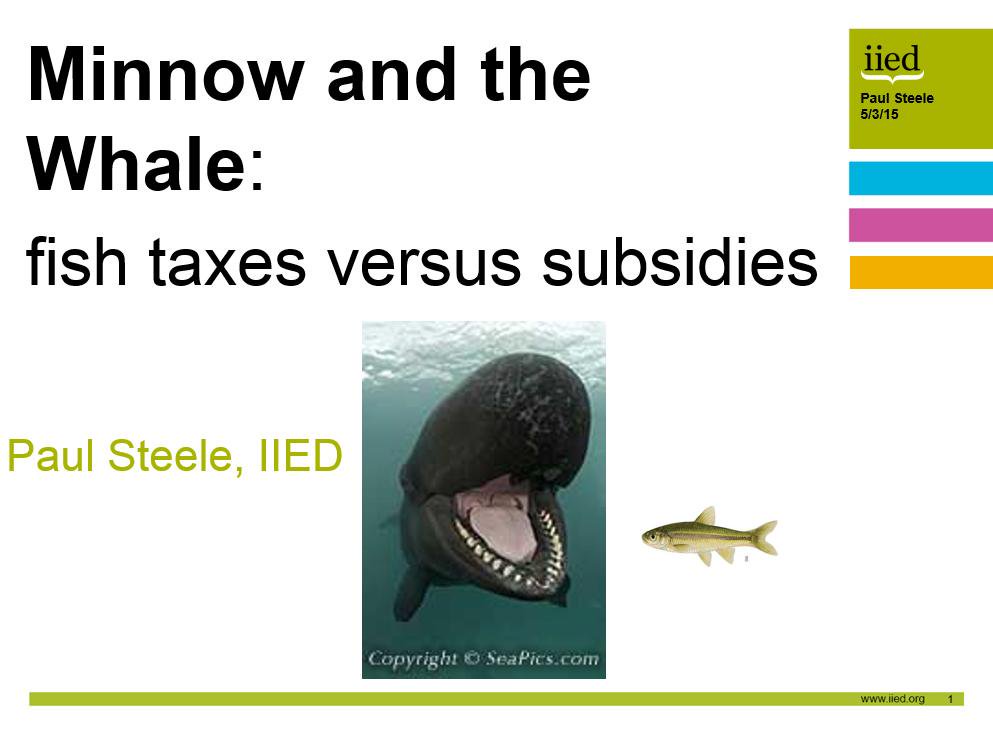 Now up is @IIED’s Chief Economist Paul Steele, presenting on: Minnow and the Whale: fish taxes versus subsidies http://t.co/PznwoRtqth