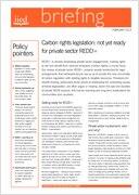 Isilda Nhantumbo is next up to talk about carbon rights. Read her briefing paper:  http://t.co/jVBeECHXiM #REDD+ http://t.co/hfmyuUaSup