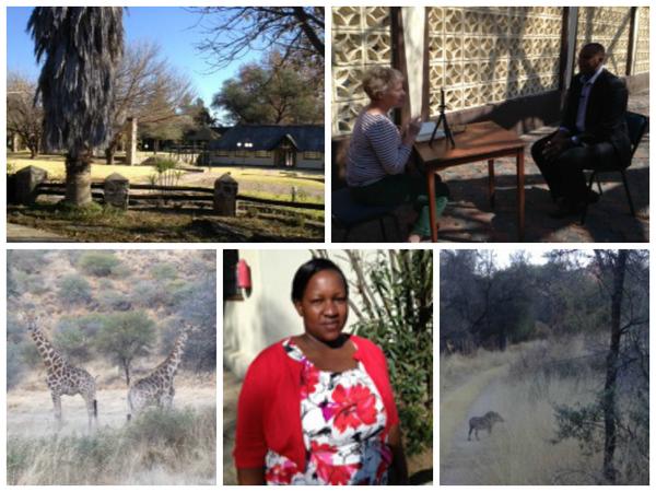 COLLAGE: Some photos taken by @RosGoodrich at this week's #NBSAP workshop in Namibia --> http://t.co/yBIuxwkB5a http://t.co/k6KPabWIE5